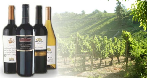 Viña chilena incorpora botellas ecológicas para sus vinos 